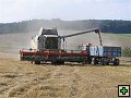 thn_Troubelice 2006 093.jpg